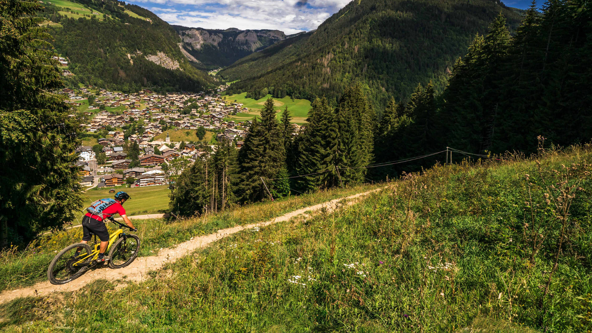 Guided mountain biking