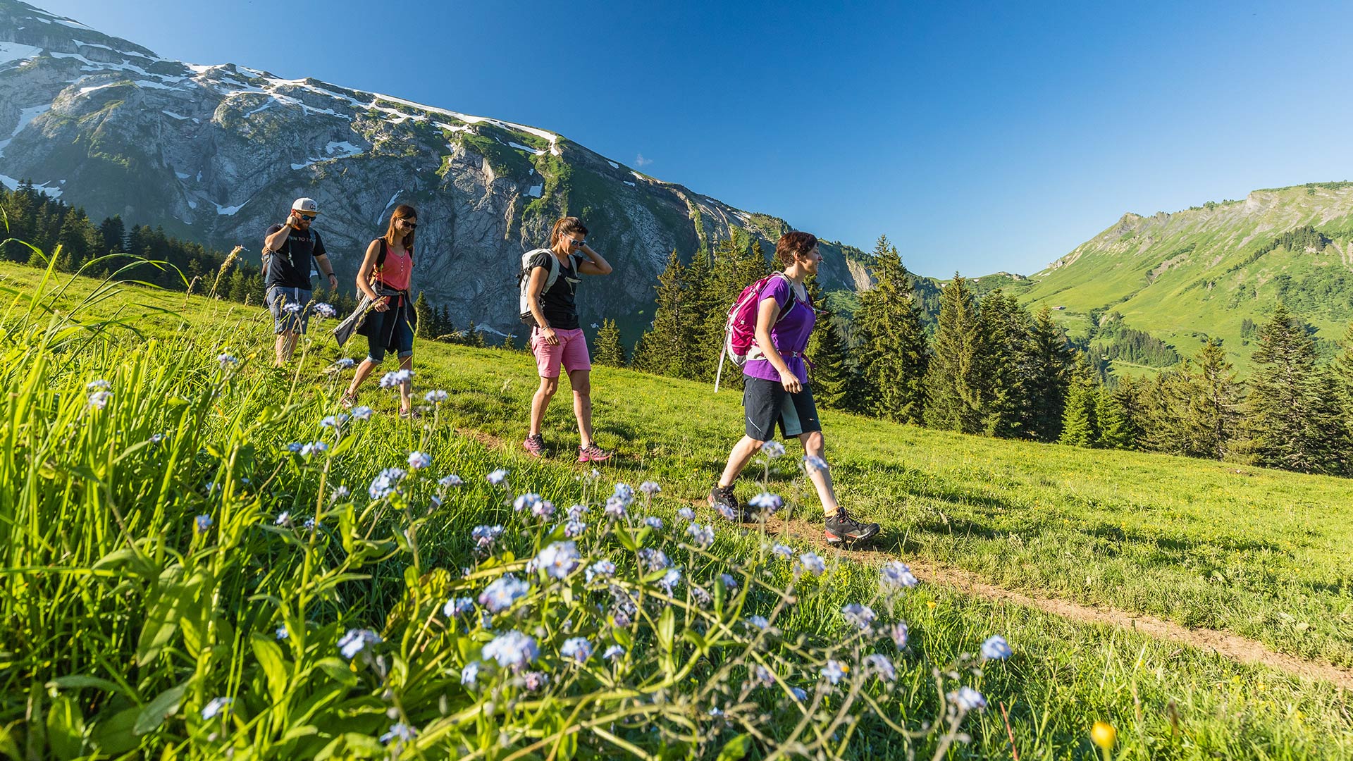 Walking the high alps