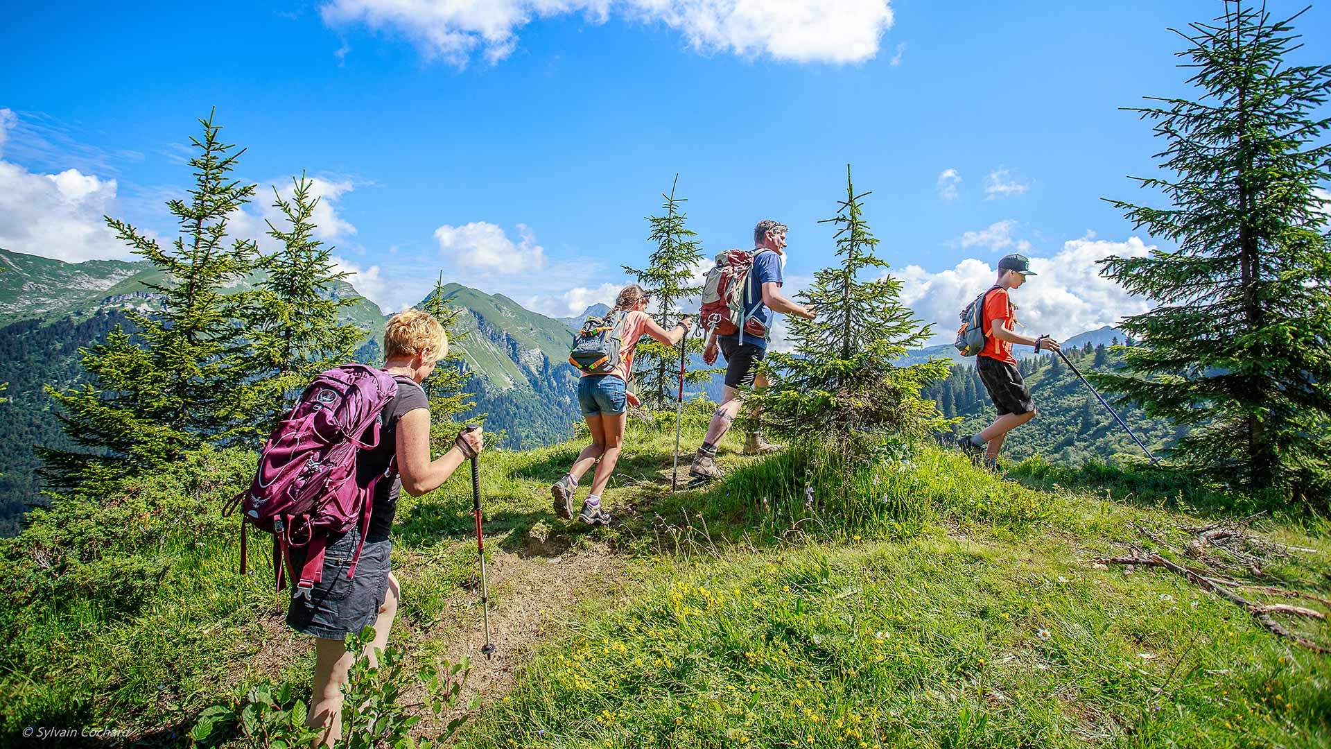 Walking in the amazing Alps